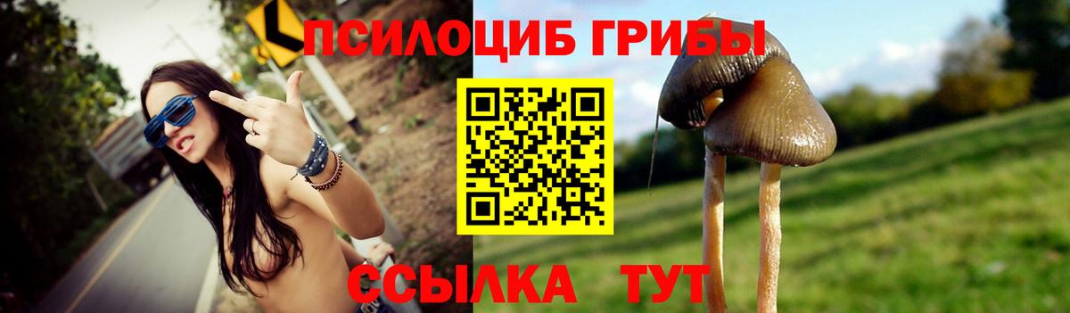 Тавда  Псилоцибиновые грибы мицелий  Вход с VPN 